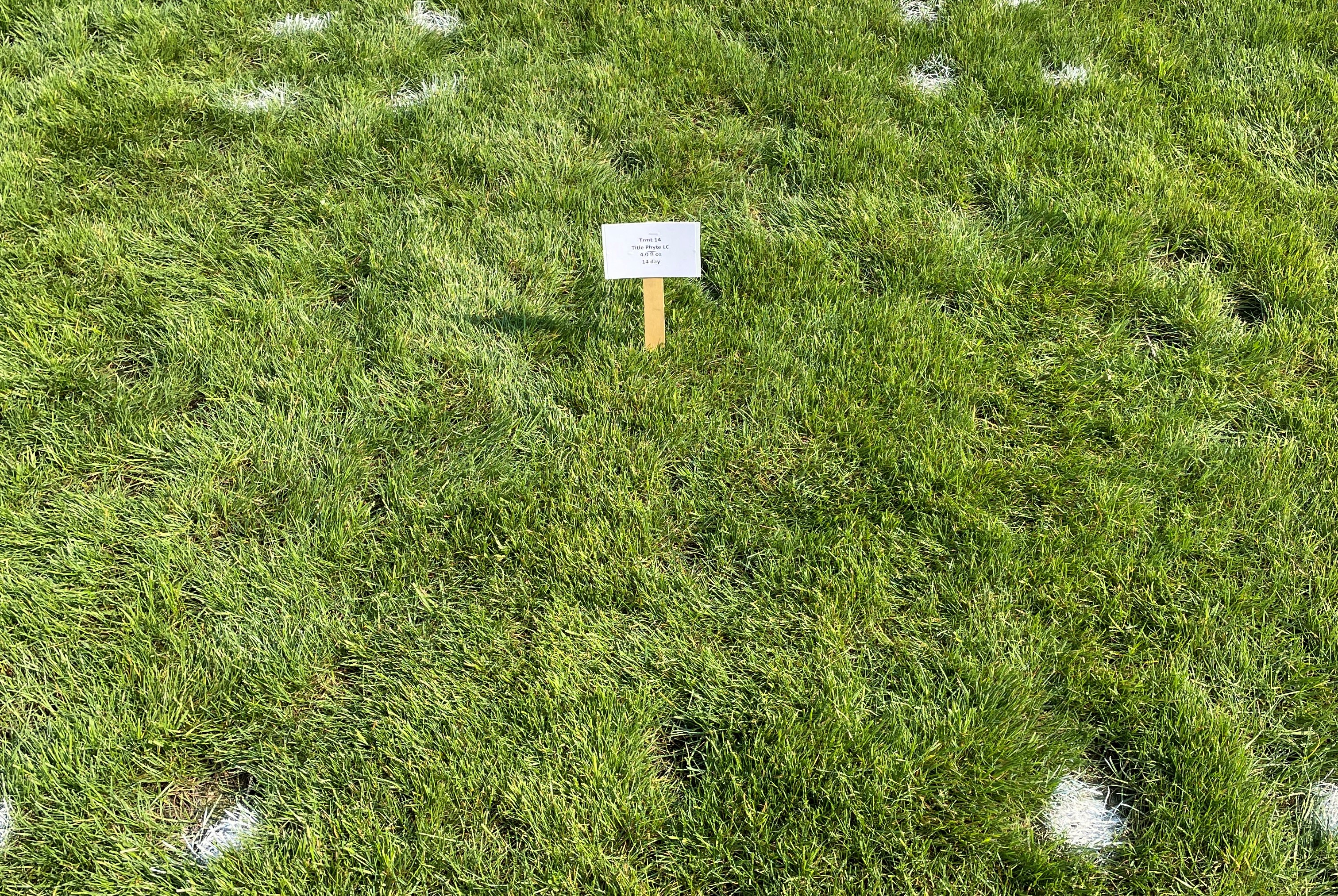 Research Update: Title Phyte Systemic Fungicide