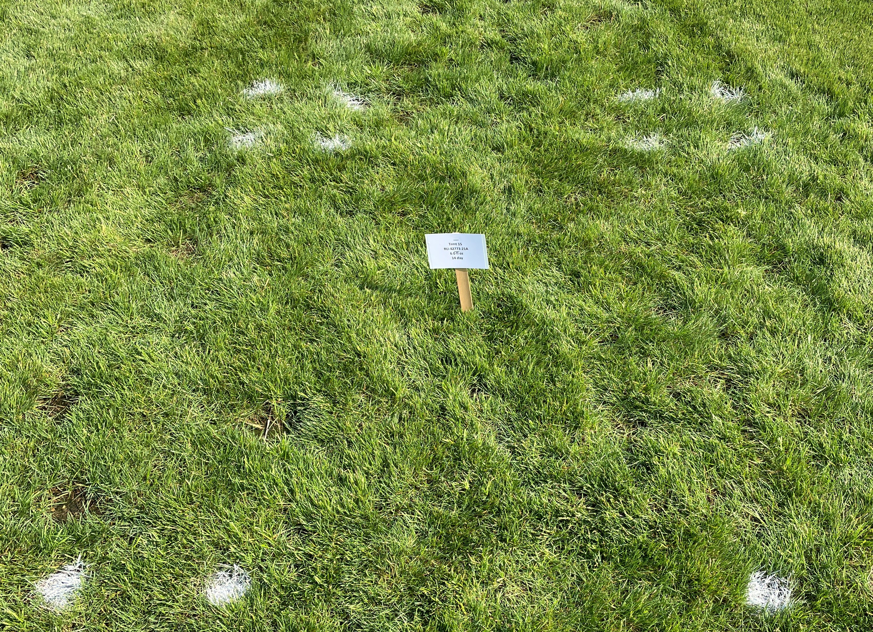 Research Update: Title Phyte Systemic Fungicide