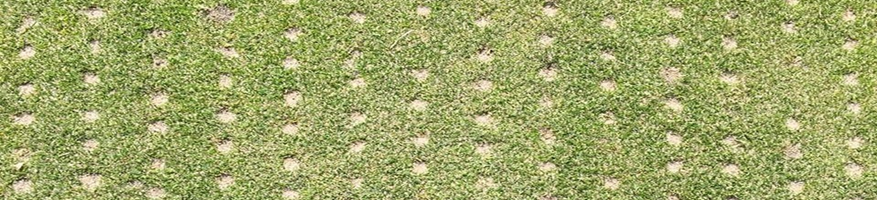 The Aerification 1, 2, 3