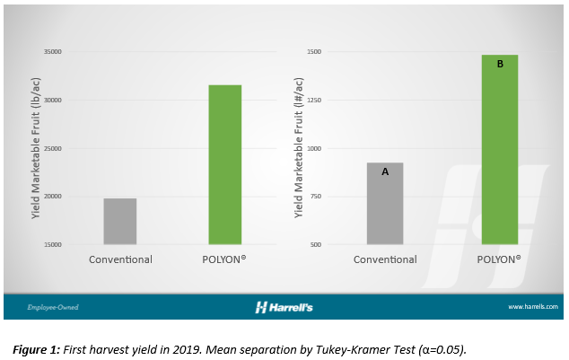 POLYON® Production in Watermelon Produces Surprising Results