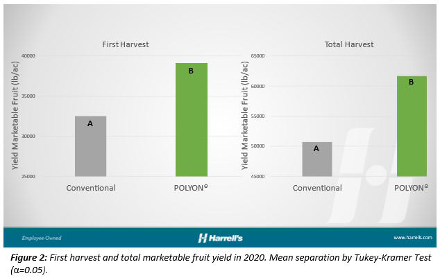POLYON® Production in Watermelon Produces Surprising Results
