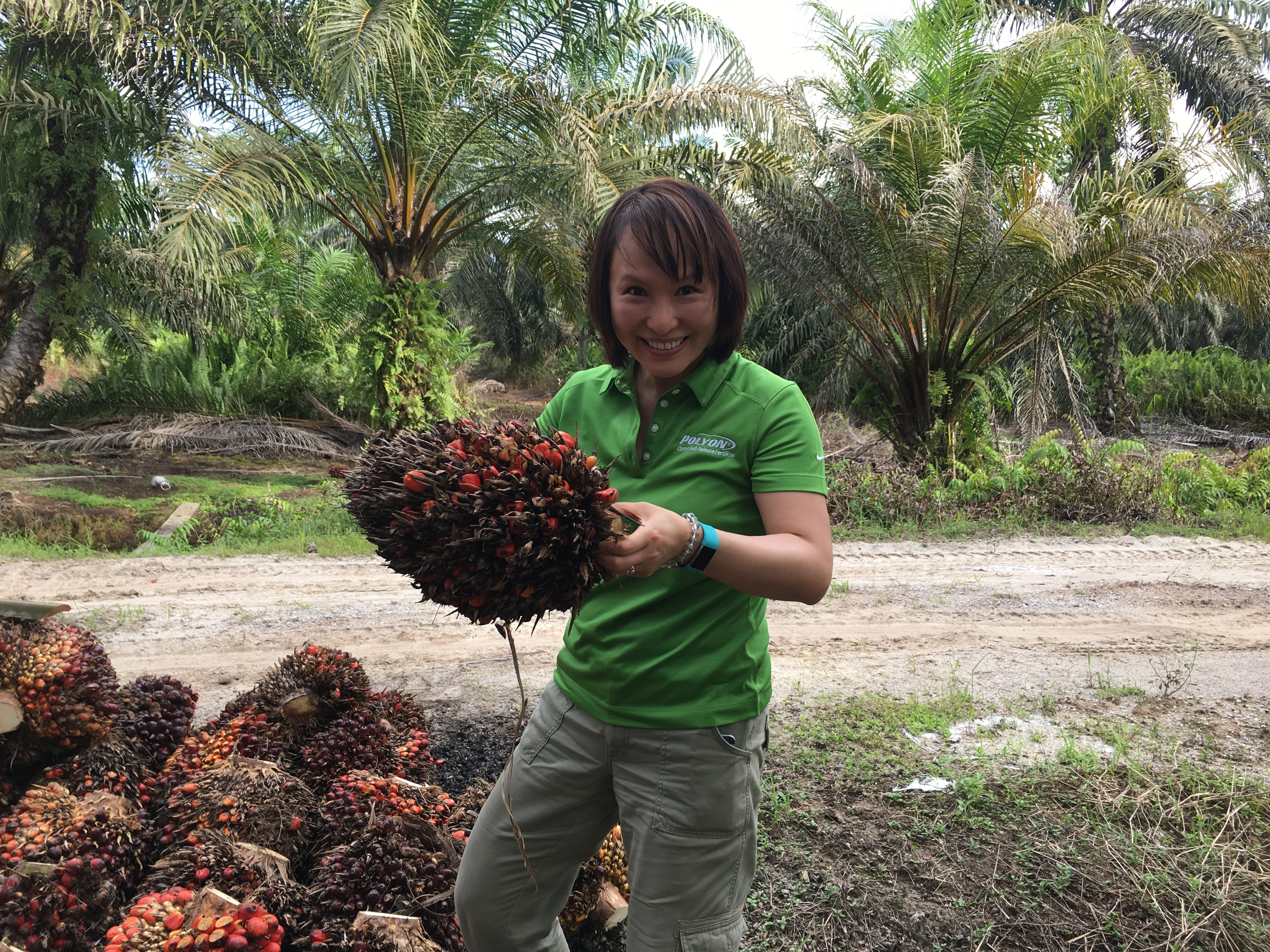 POLYON Around the World – Growing a Better World Internationally<br>
