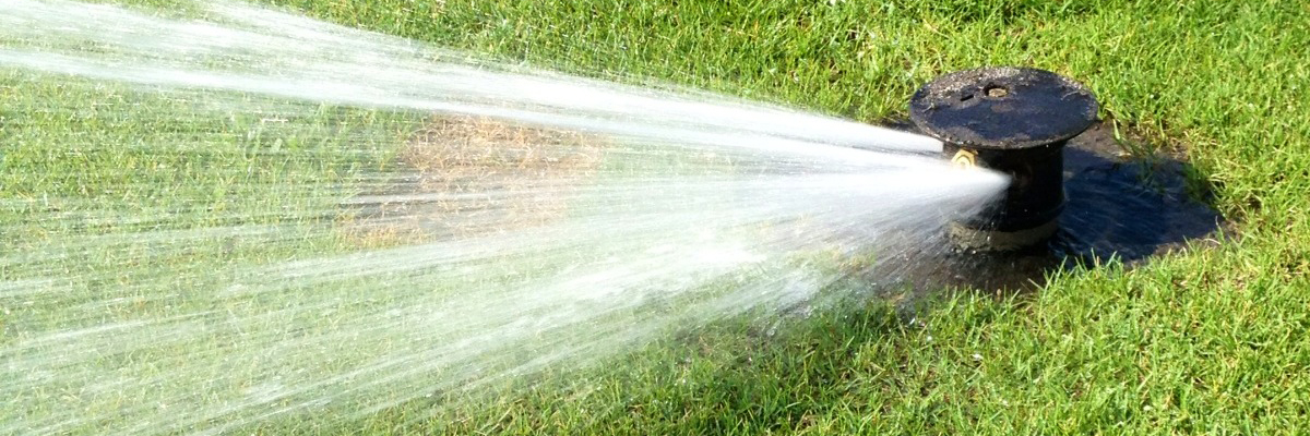 EarthMAX® Organic Mitigates Salinity Stress & Increases Root Biomass Over Time