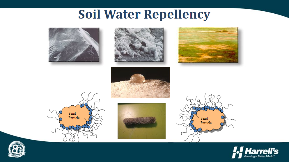 Soil Wetting Agents: Agents of Control and More!