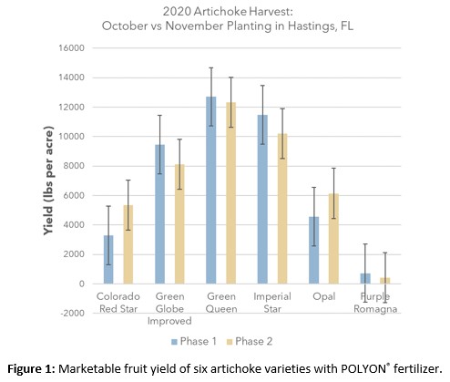 POLYON® Controlled-Release Fertilizer Artichoke Studies