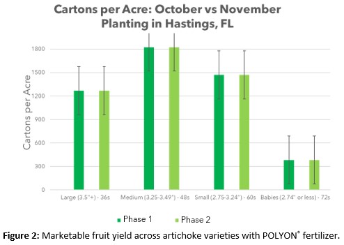 POLYON® Controlled-Release Fertilizer Artichoke Studies