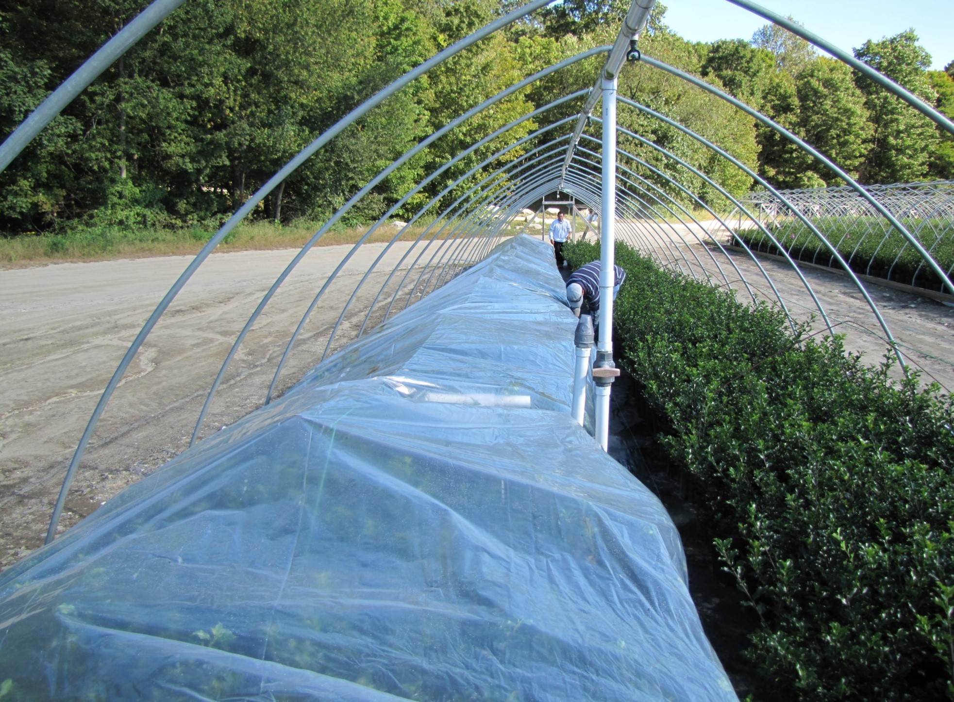 Nursery Winter Prep with Mike Emmons from Prides Corner Farms