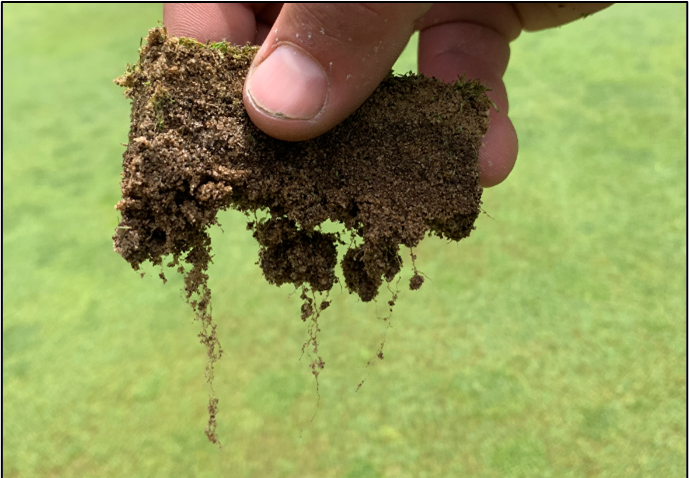 Abiotic Turfgrass Pressures, or the 