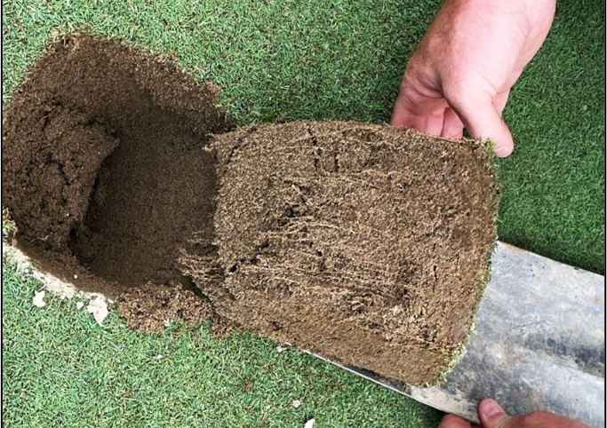 Abiotic Turfgrass Pressures, or the 