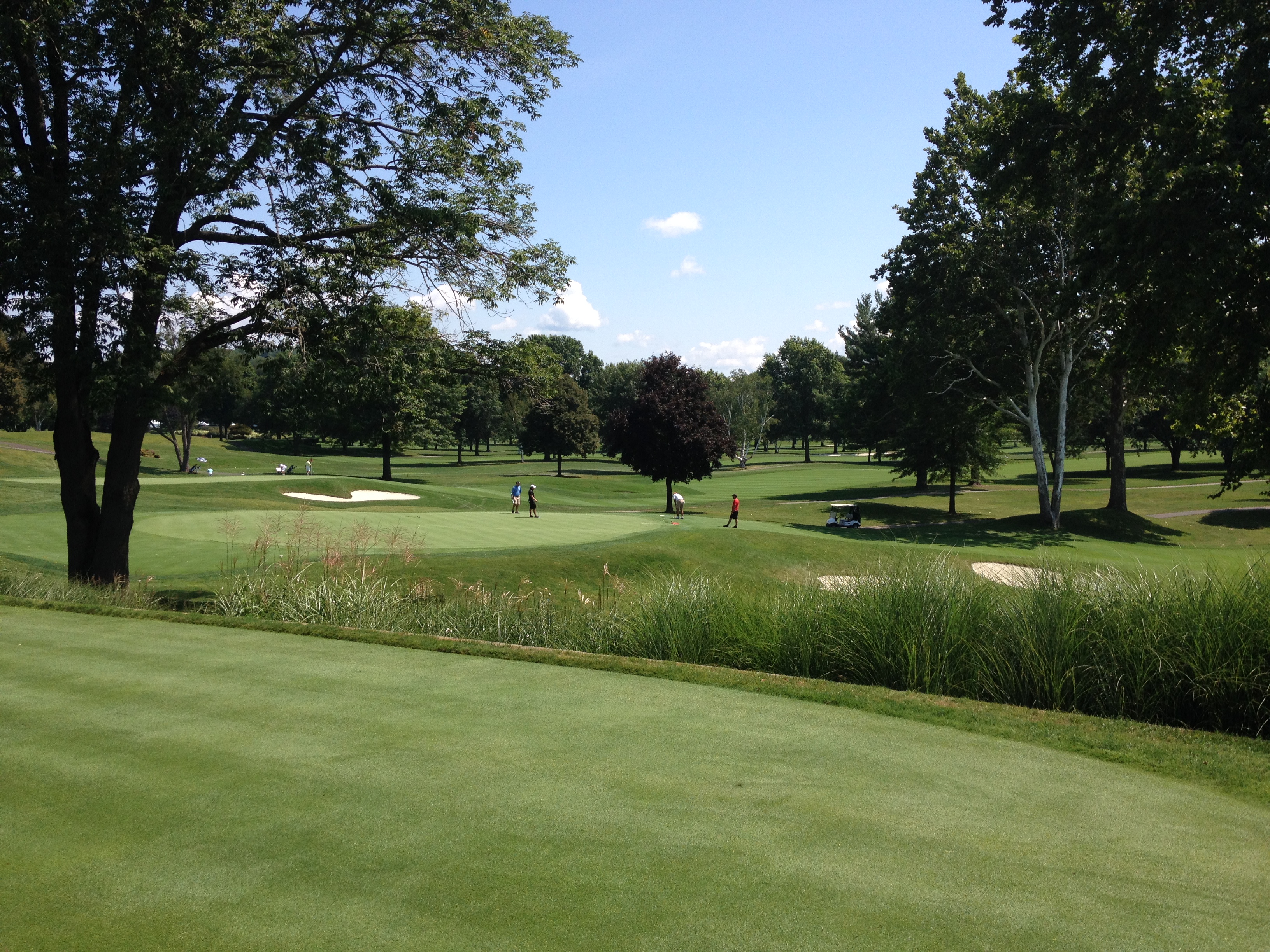 Combatting Nematodes and Growing Longer, Fatter Roots