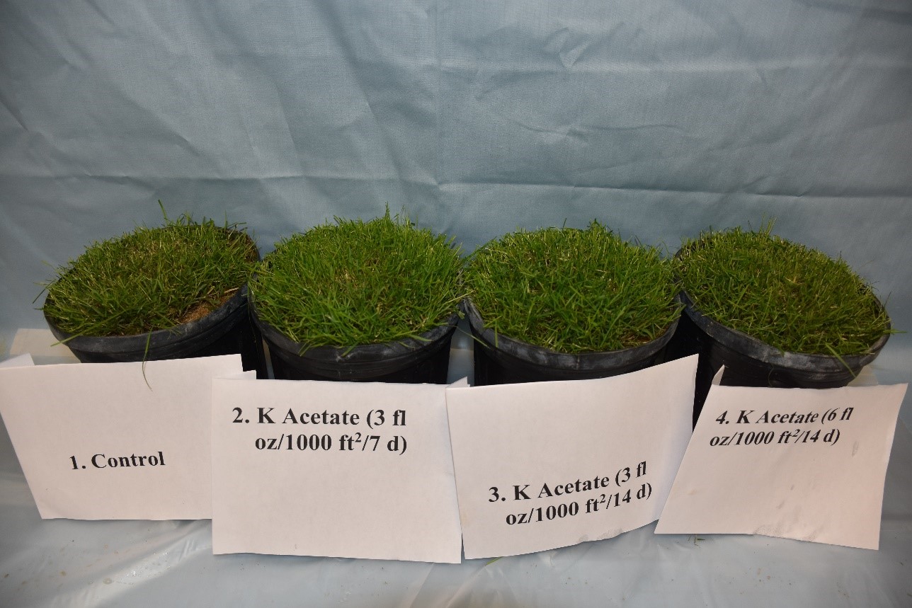 Shade Tolerance on Lawns Using Harrell'sMAX® Stress Relefe
