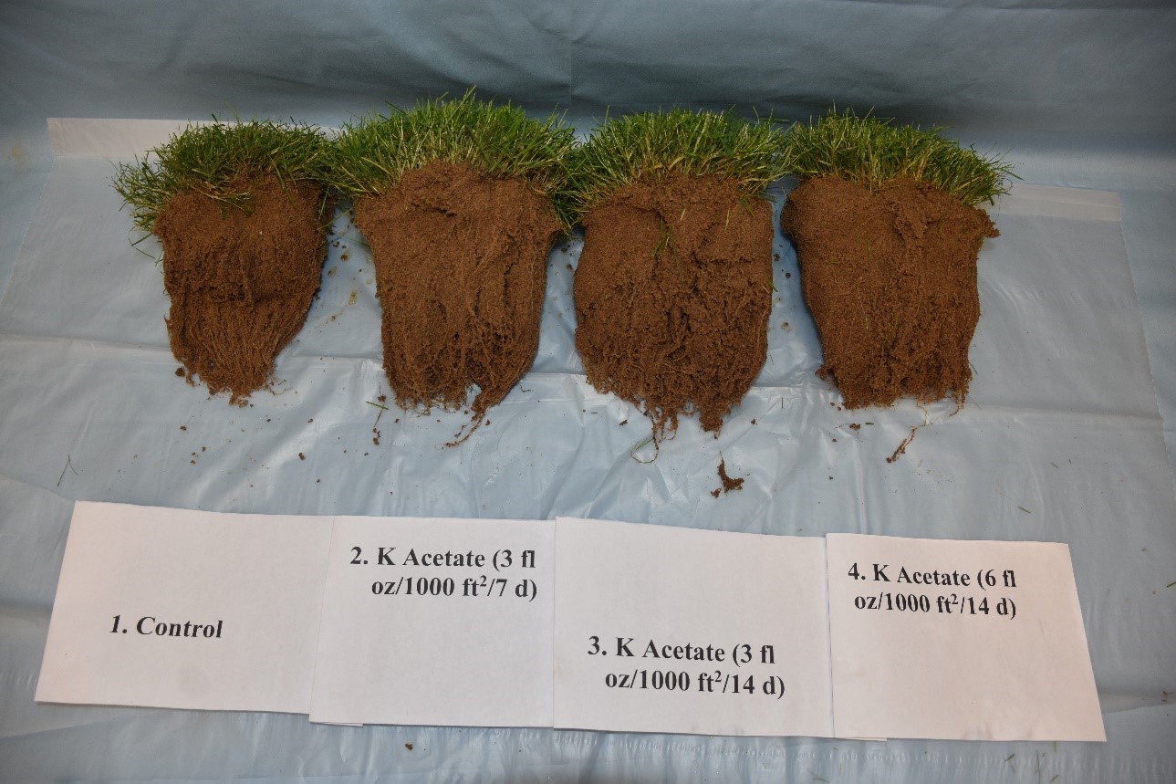 Shade Tolerance on Lawns Using Harrell'sMAX® Stress Relefe