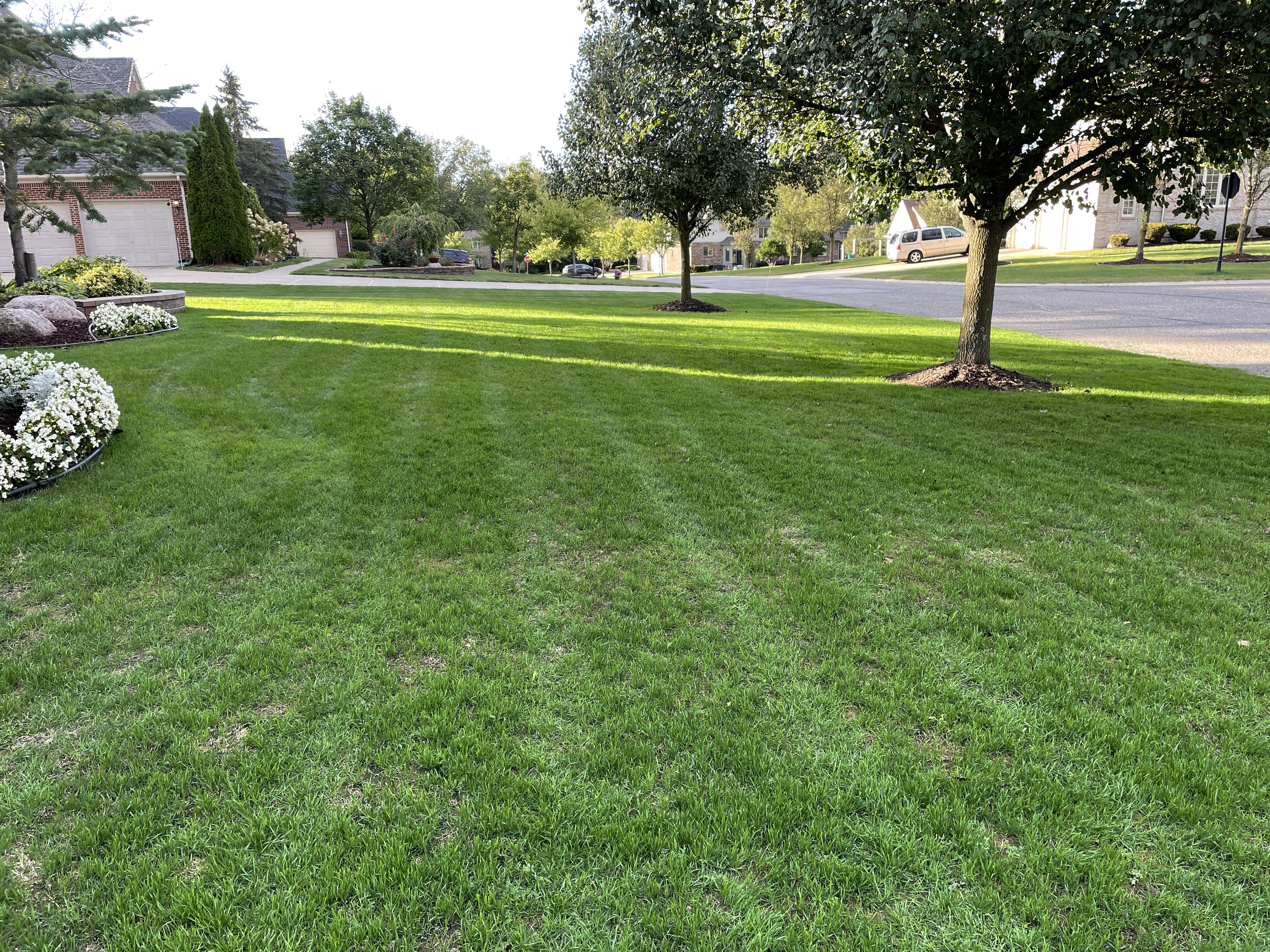 So, You Want to Re-Do Your Lawn? - Tips From the Pros