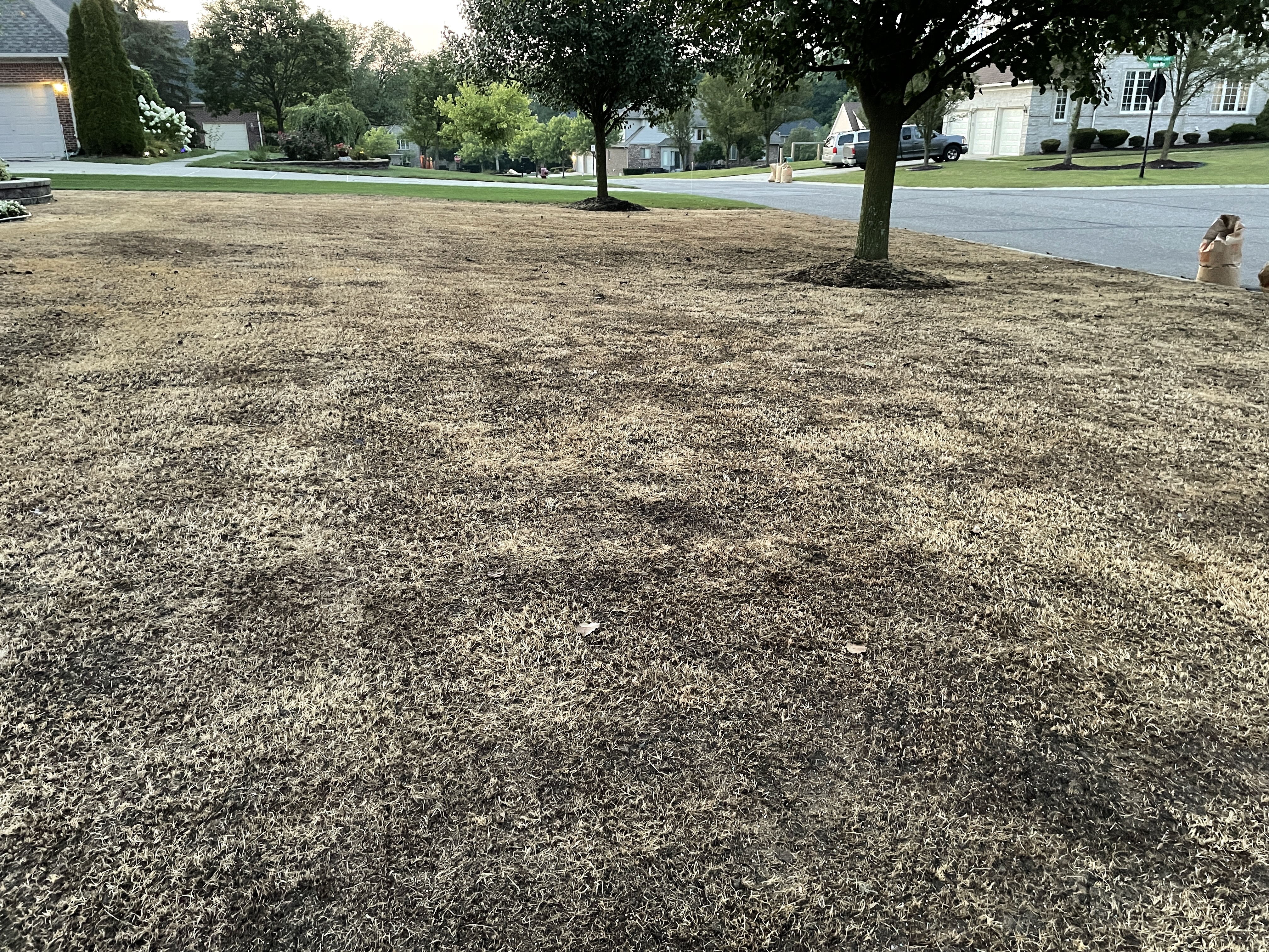 So, You Want to Re-Do Your Lawn? - Tips From the Pros