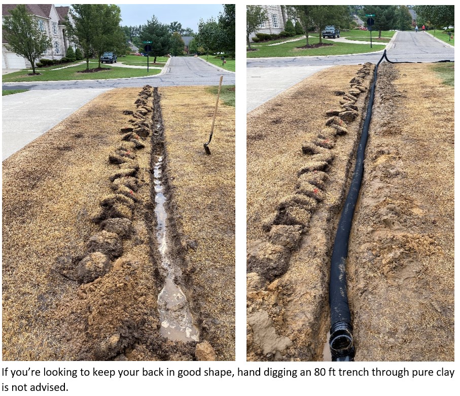 So, You Want to Re-Do Your Lawn? - Tips From the Pros