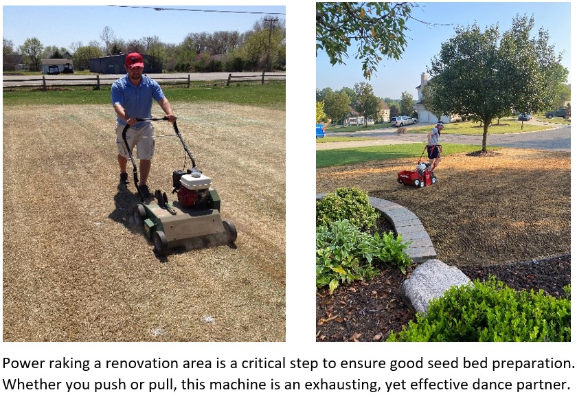 So, You Want to Re-Do Your Lawn? - Tips From the Pros