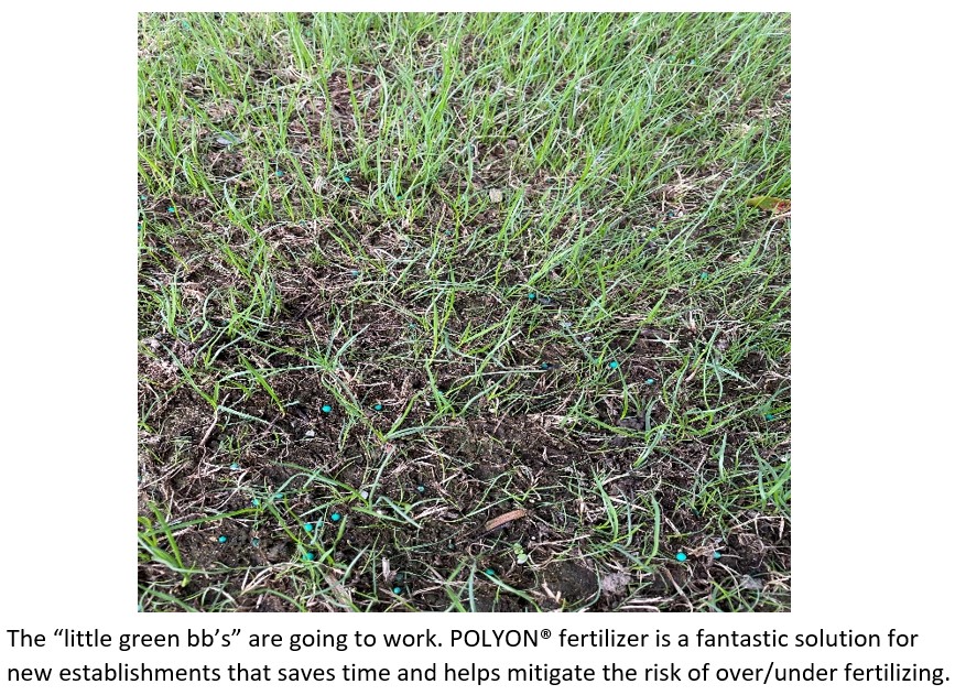 So, You Want to Re-Do Your Lawn? - Tips From the Pros