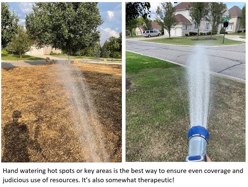 So, You Want to Re-Do Your Lawn? - Tips From the Pros