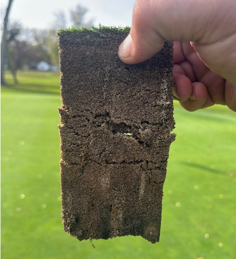 Root Health Program Testimonial from Mike Bibler, Plum Brook Country Club