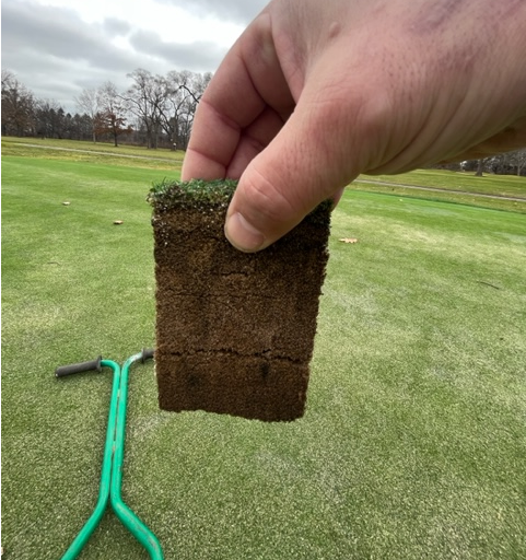 Root Health Program Testimonial from Mike Bibler, Plum Brook Country Club