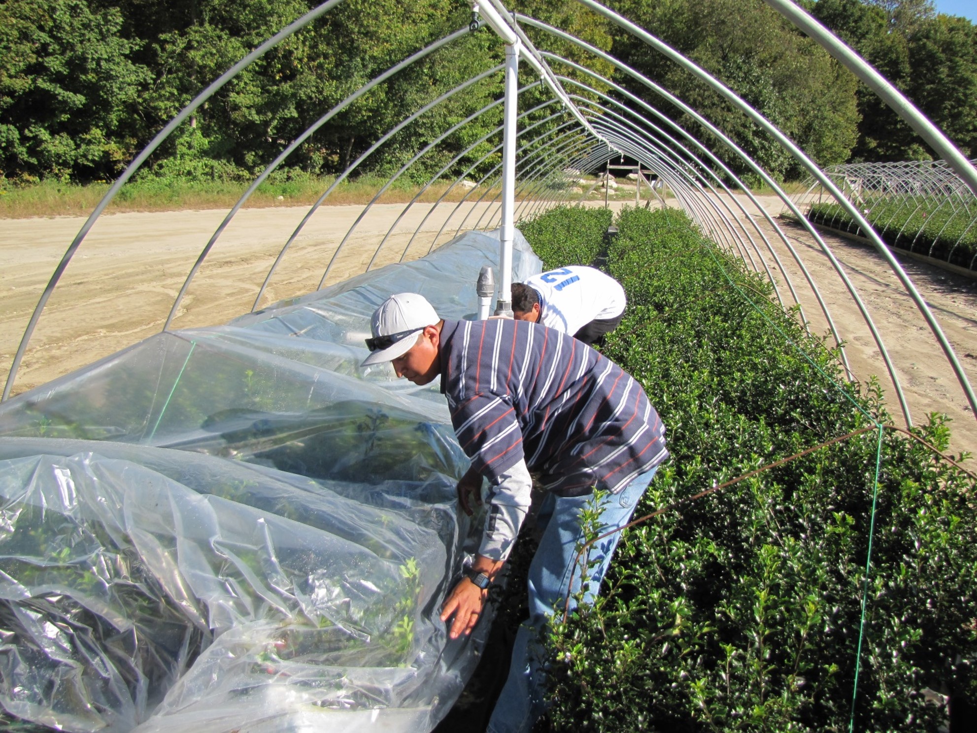 Nursery Winter Prep with Mike Emmons from Prides Corner Farms