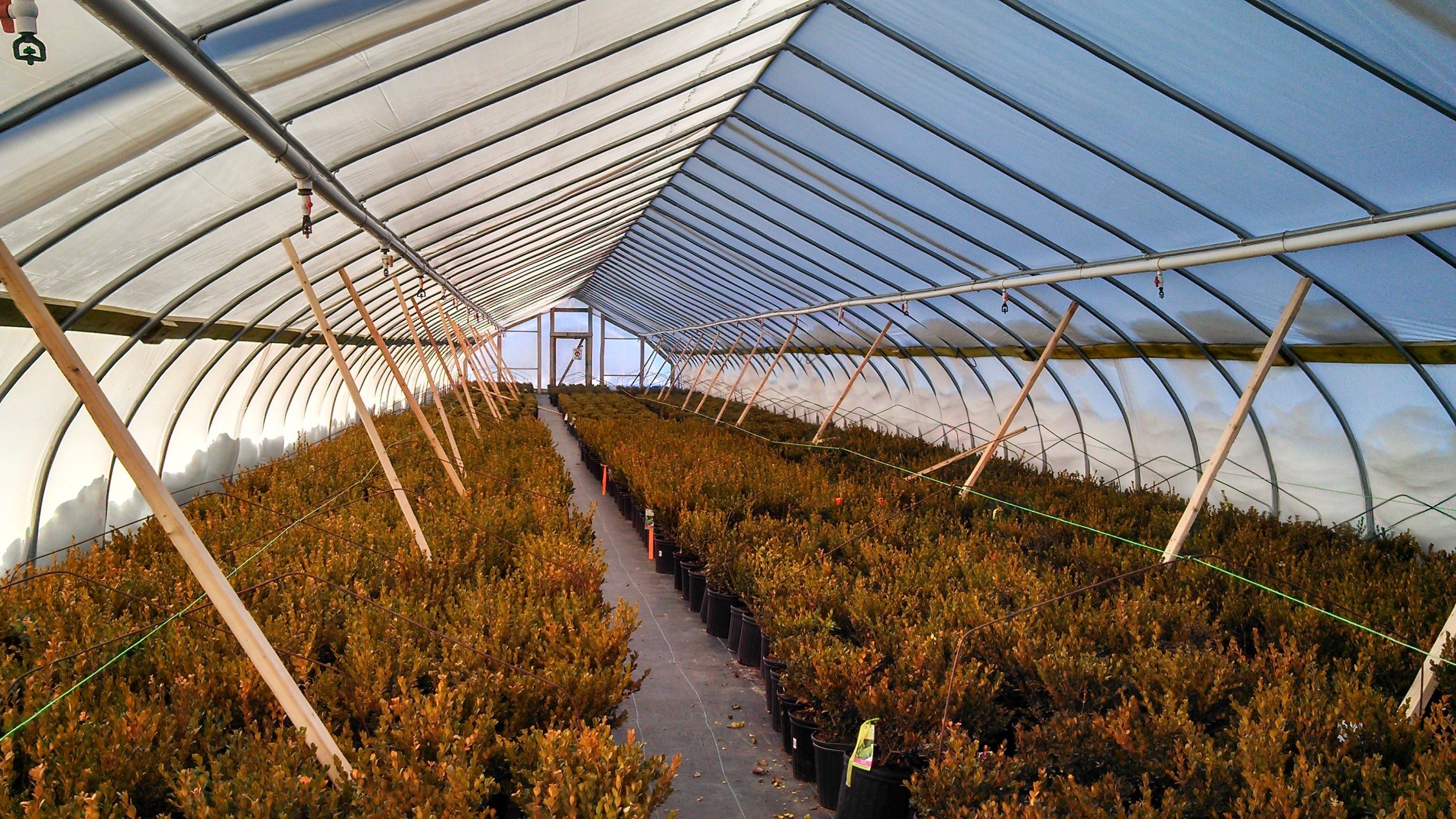 Nursery Winter Prep with Mike Emmons from Prides Corner Farms