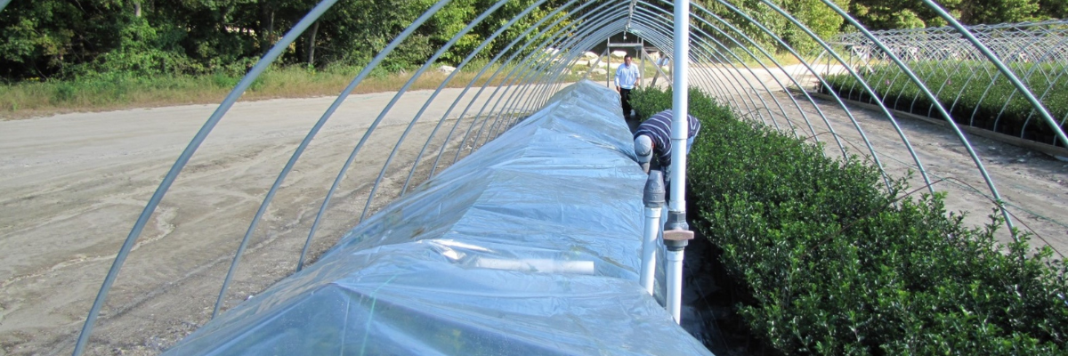 Nursery Winter Prep with Mike Emmons from Prides Corner Farms