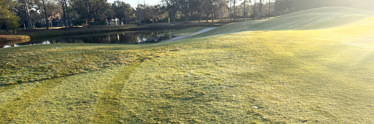 Top 6 Early-Season Turf Considerations After a Mild Winter