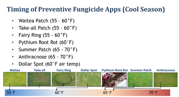 Top 6 Early-Season Turf Considerations After a Mild Winter
