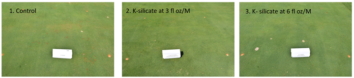 Harrell'sMAX® Potassium Silicate Effect on Creeping Bentgrass