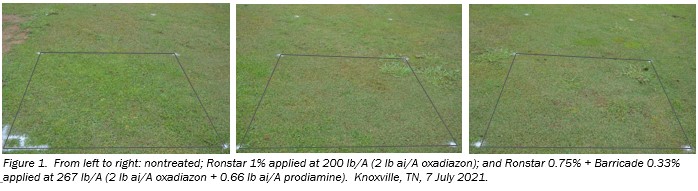 POLYON® Controlled-Release Fertilizer Sparged with Ronstar+Barricade