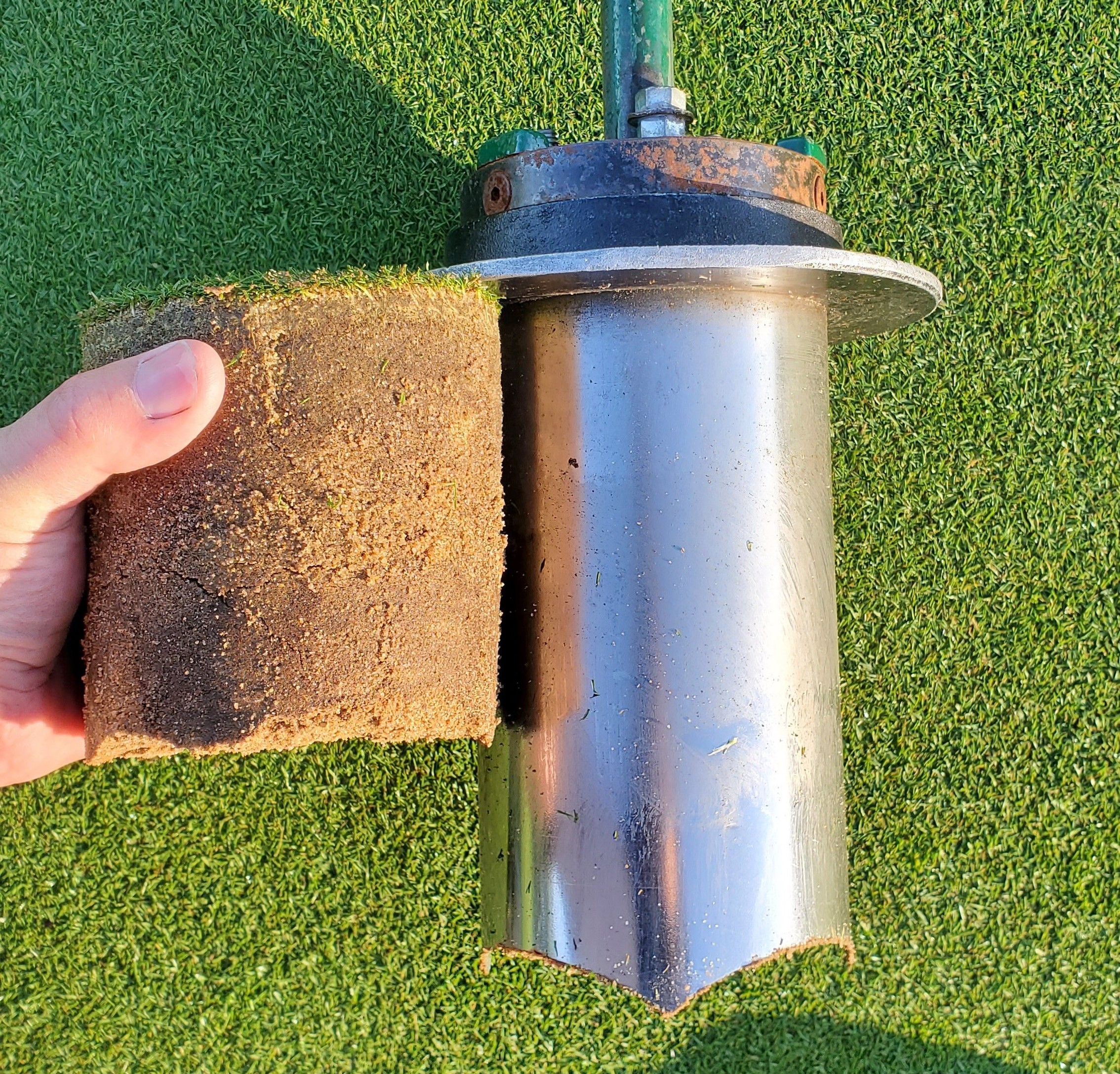 Top 6 Early-Season Turf Considerations After a Mild Winter