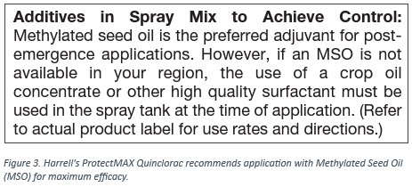 Spray Tank Adjuvants – 5 Tips to Make Sure Products Are Working as They Should