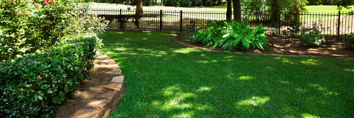 Shade Tolerance on Lawns Using Harrell'sMAX® Stress Relefe