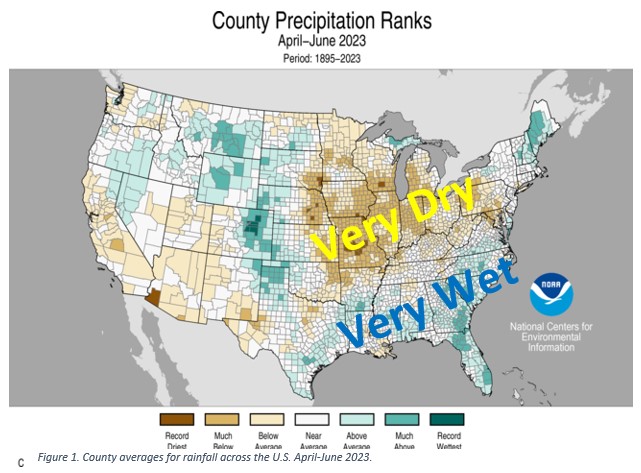 Summer Disease Update - 2023