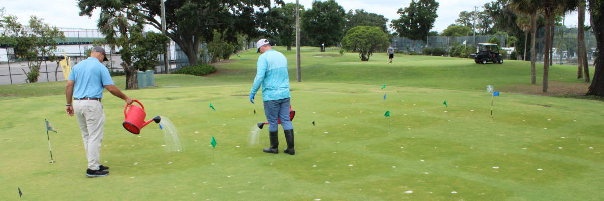 Controlling Nematodes with Nematicides and Root Health