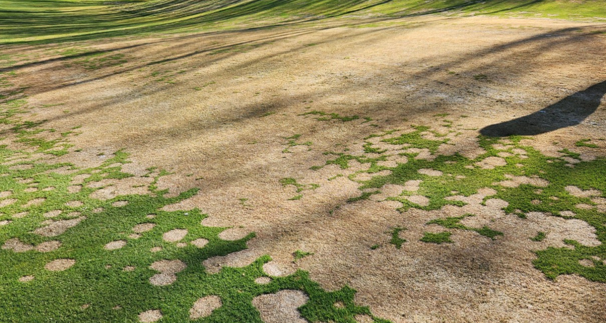 Snow Mold Control is as Easy as 1, 2, 3!