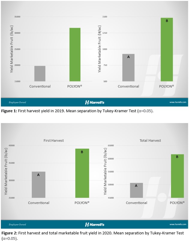 Trials Show POLYON® Fertilizer Improves Yields in Watermelon Production