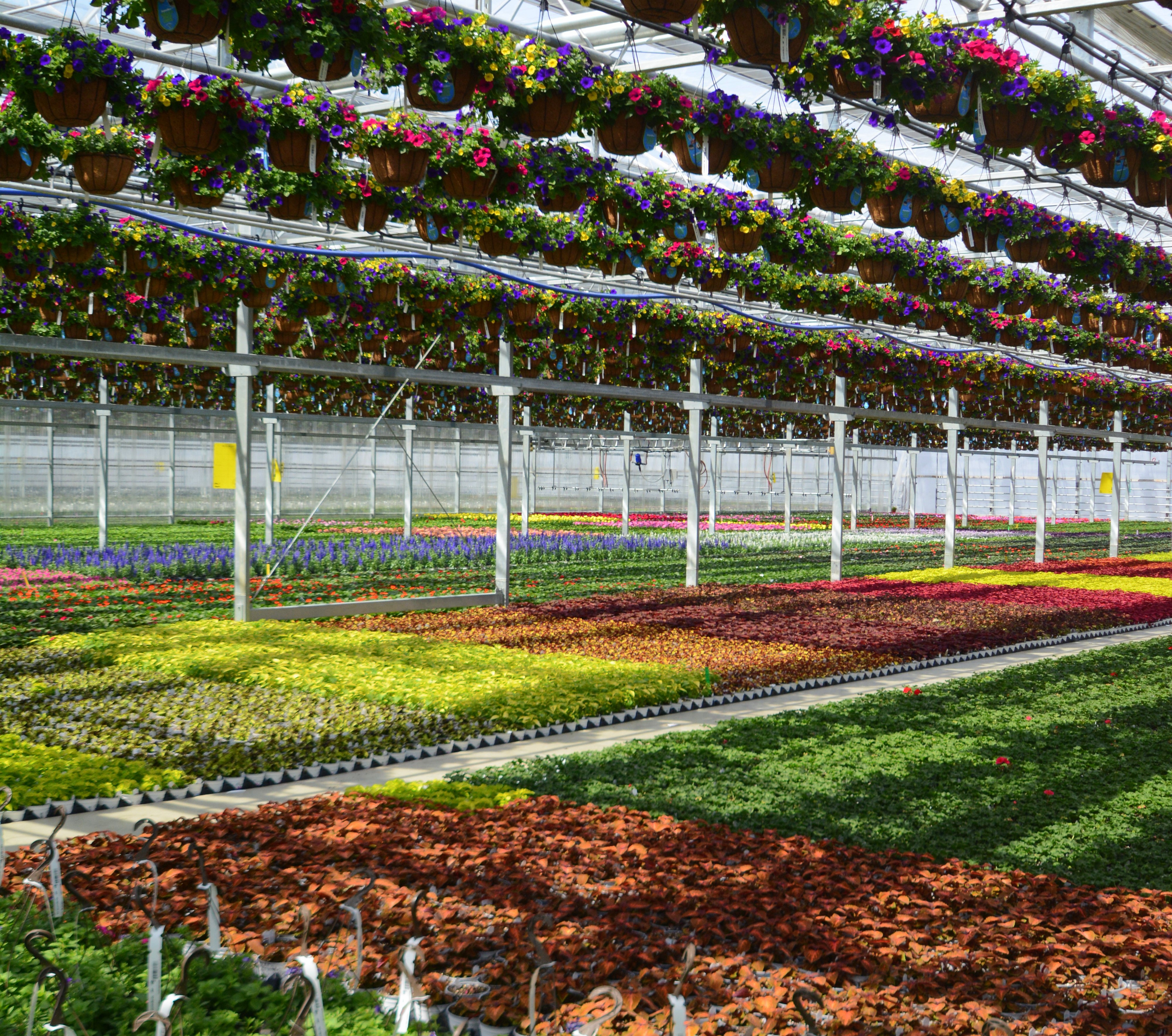 Introducing The New POLYON 18-6-12 Mini NPK Prill!