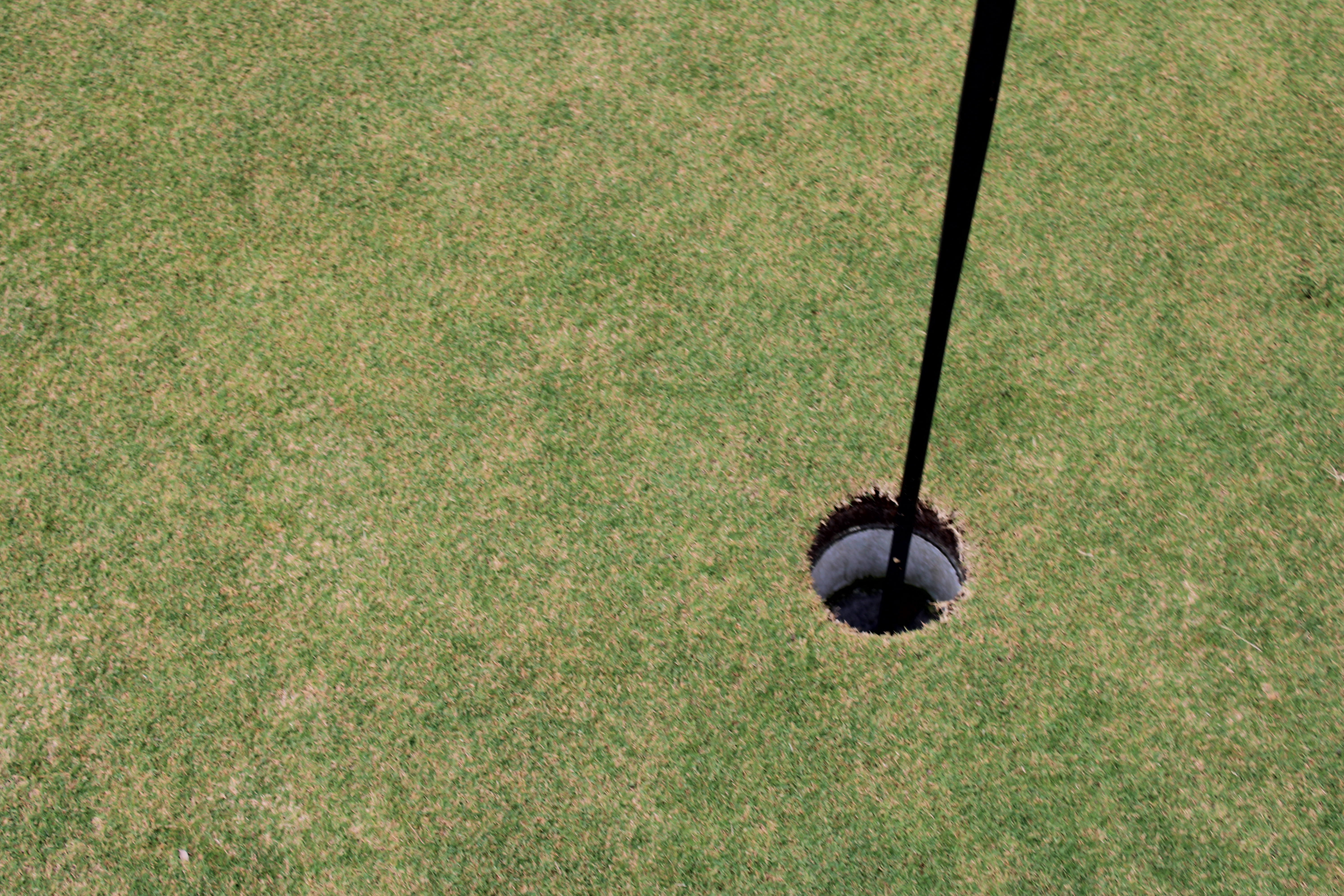 Controlling Nematodes with Nematicides and Root Health