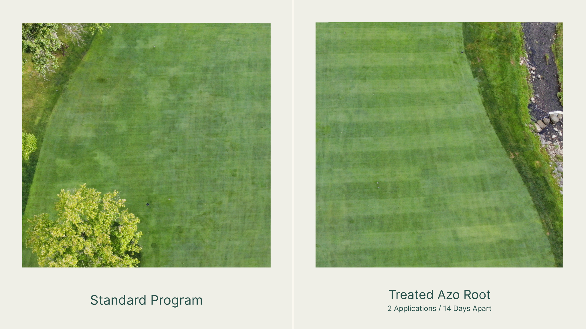 Root Health & Summer Stress Conditioning