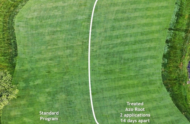 Azo Root - A New Frontier in Beneficial Microbes