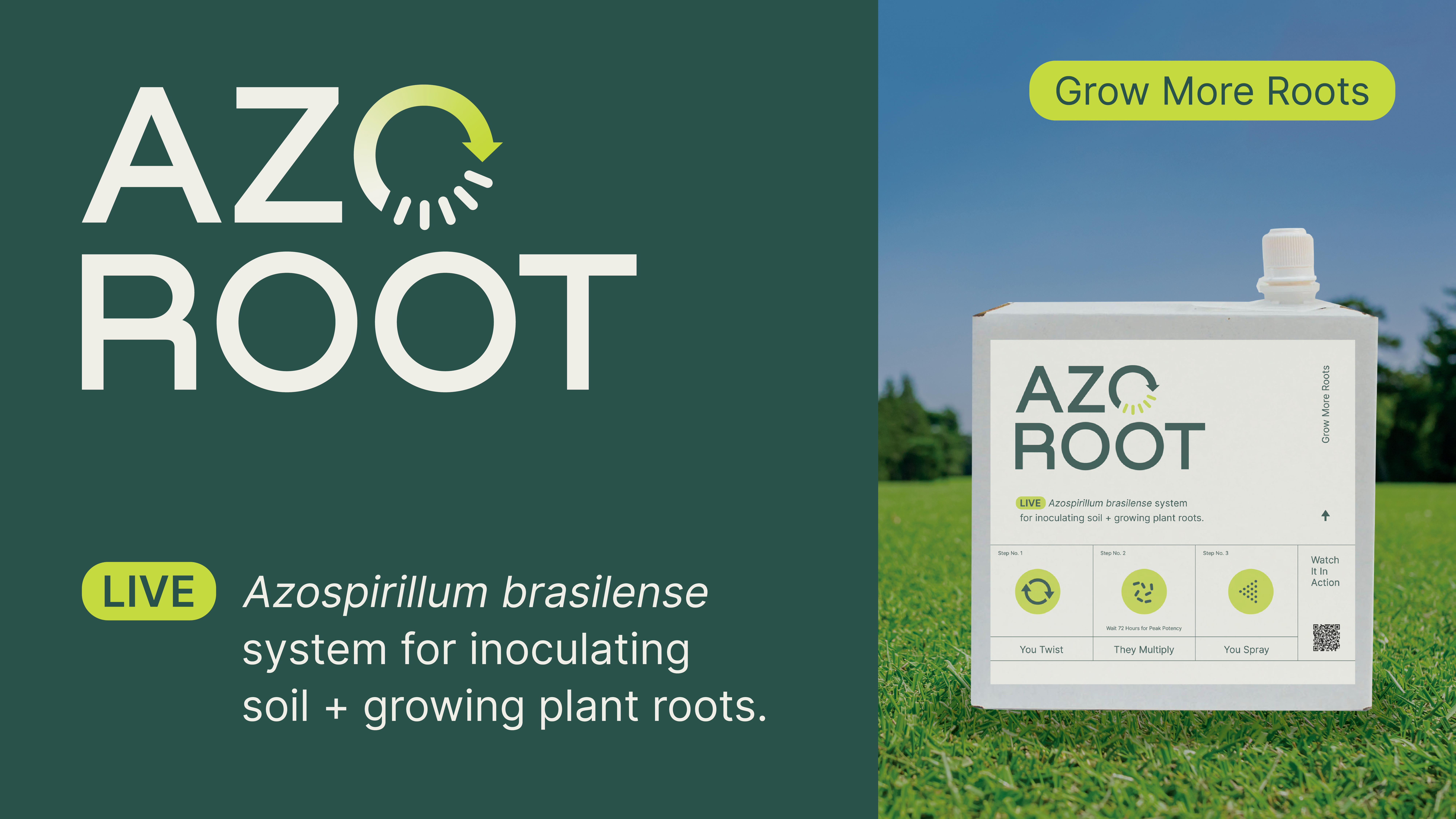 Azo Root - A New Frontier in Beneficial Microbes