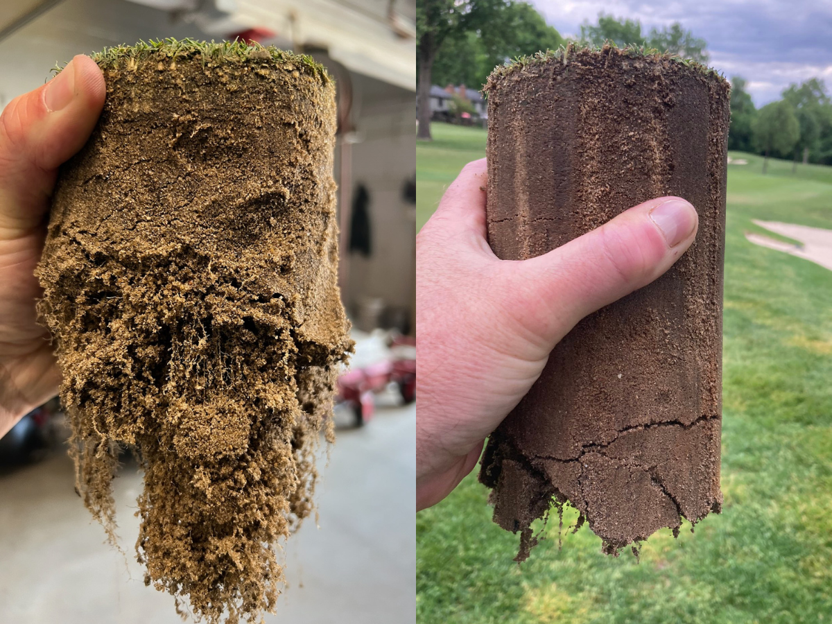 Mycorrhizae Pro Benefits