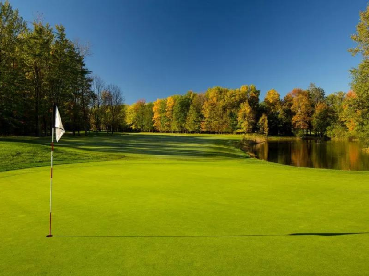 Mycorrhizae and Root Health Case Study – Crag Burn Golf Club