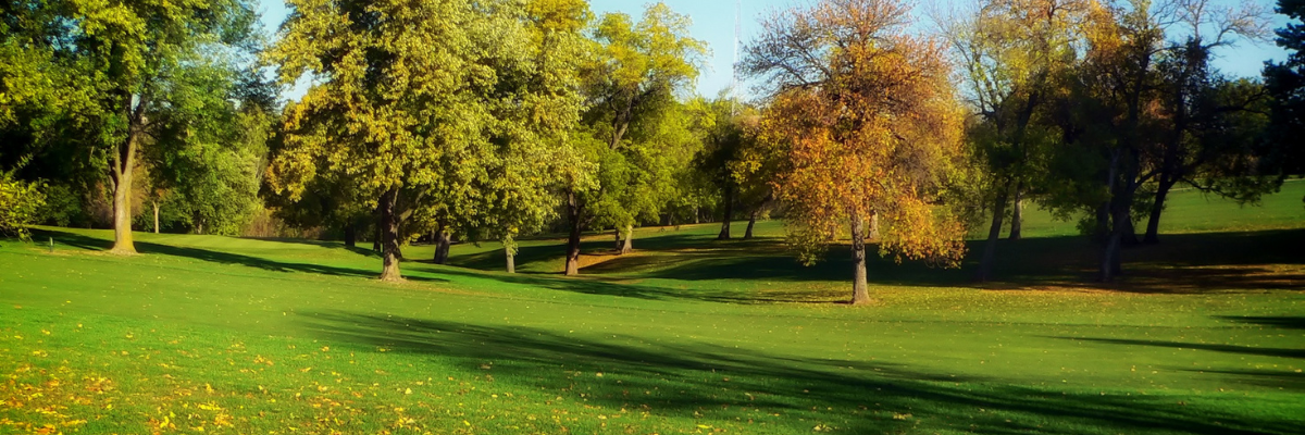 Fall Fertilizer Boost for Your Turf