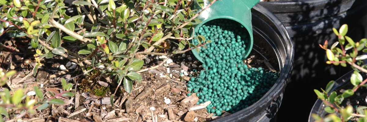 Fall Fertilizer for Horticulture