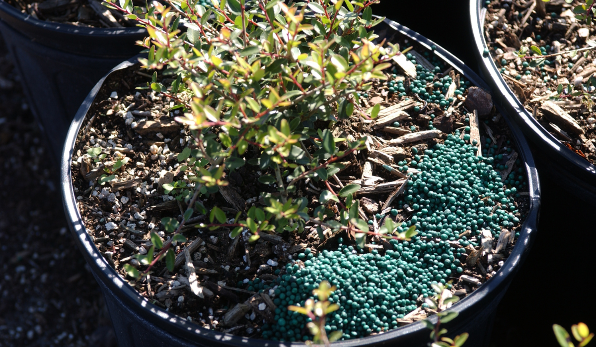 Fall Fertilizer for Horticulture