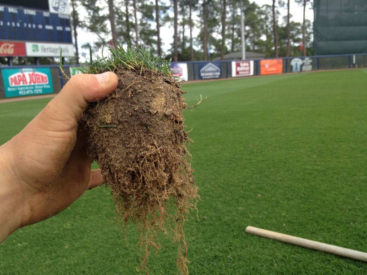 Harrell's Root Health Program Products
