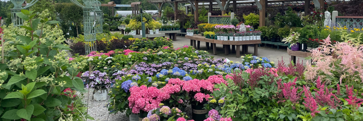 Market Indicators of Success for Horticulture